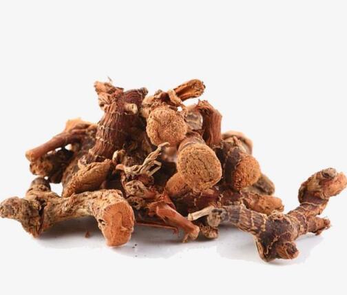 高良姜 ALPINIAE OFFICINARUM RHIZOMA