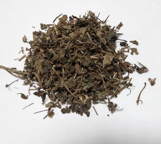 連錢(qián)草 Glechomae Herba