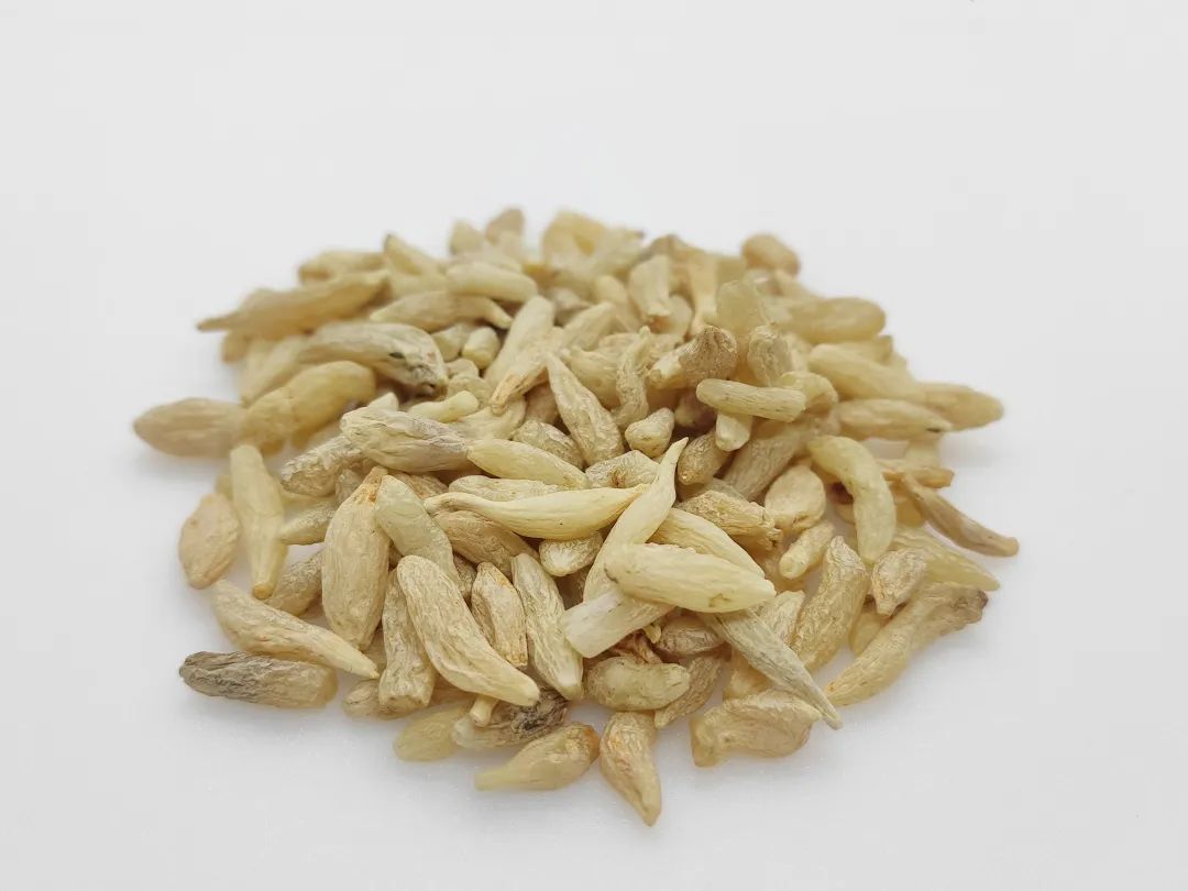 普菲德專(zhuān)題產(chǎn)品推薦-麥冬系列